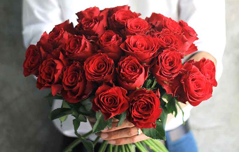 5 Jenis Bunga Valentine Terpopuler di Dunia