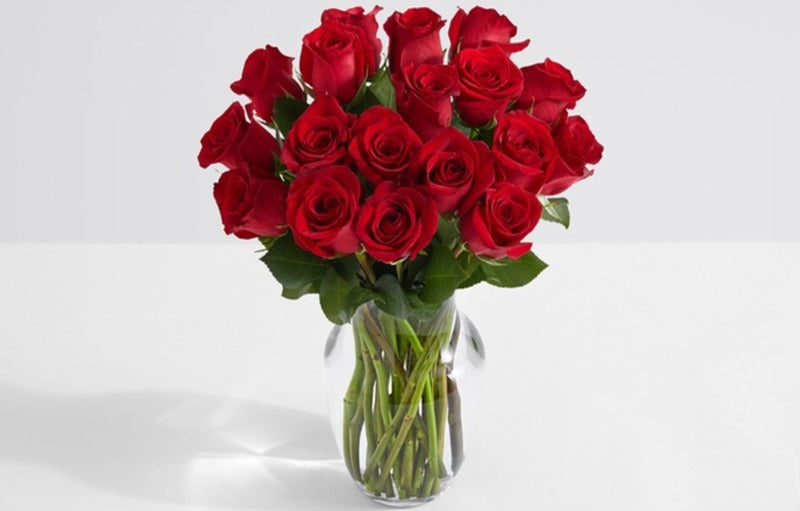  Arti Bunga Mawar Merah Sebagai Kado Valentine Outerbloom 