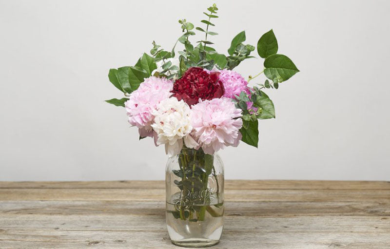 100 Gambar Vas Bunga  Terlihat Keren Gambar  Pixabay
