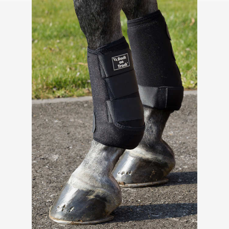 Royal Exercise Boots – Back on Track SA