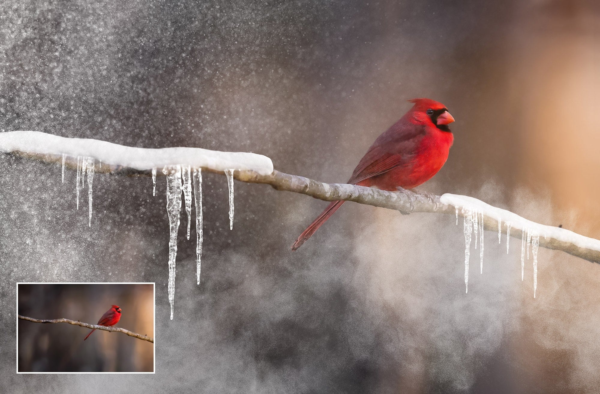 25 Snow Brushes for Photoshop - Uplift Photoshop Actions