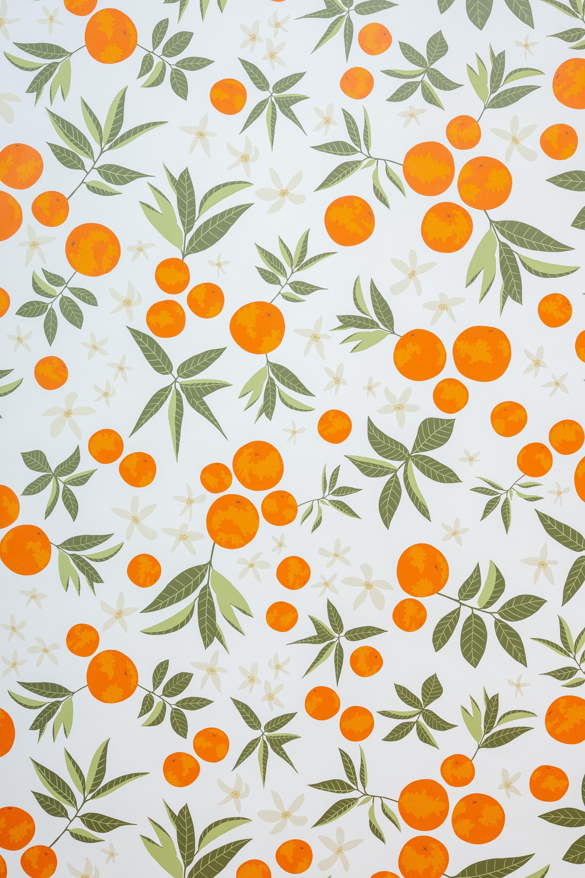 Orange Blossom Wallpaper – WYNIL by NumérArt