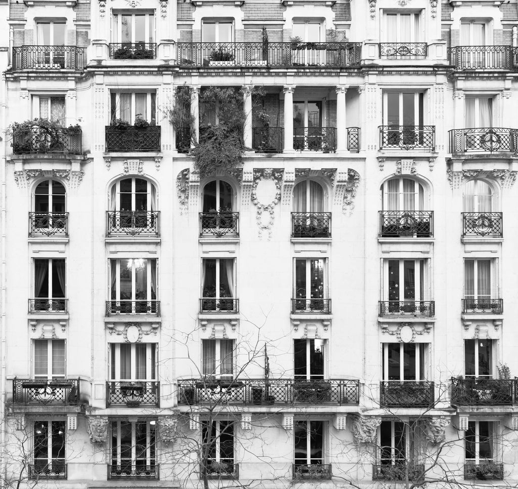 The Paris Windows Mural