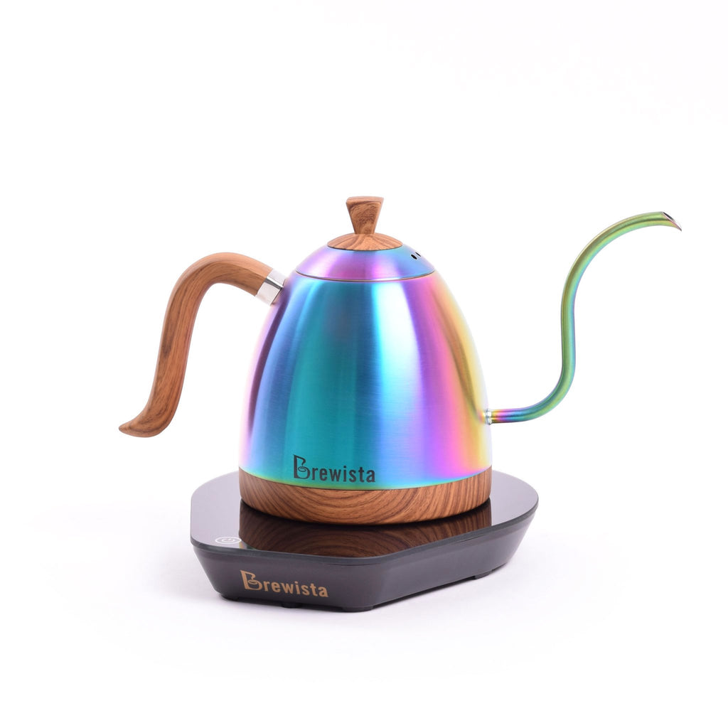 Brewista Artisan 600mL Gooseneck Variable Temperature Kettle