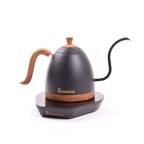 Brewista Artisan 600mL Gooseneck Variable Temperature Kettle