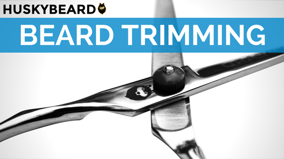 scissors or trimmer for beard