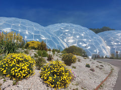 The Eden Project