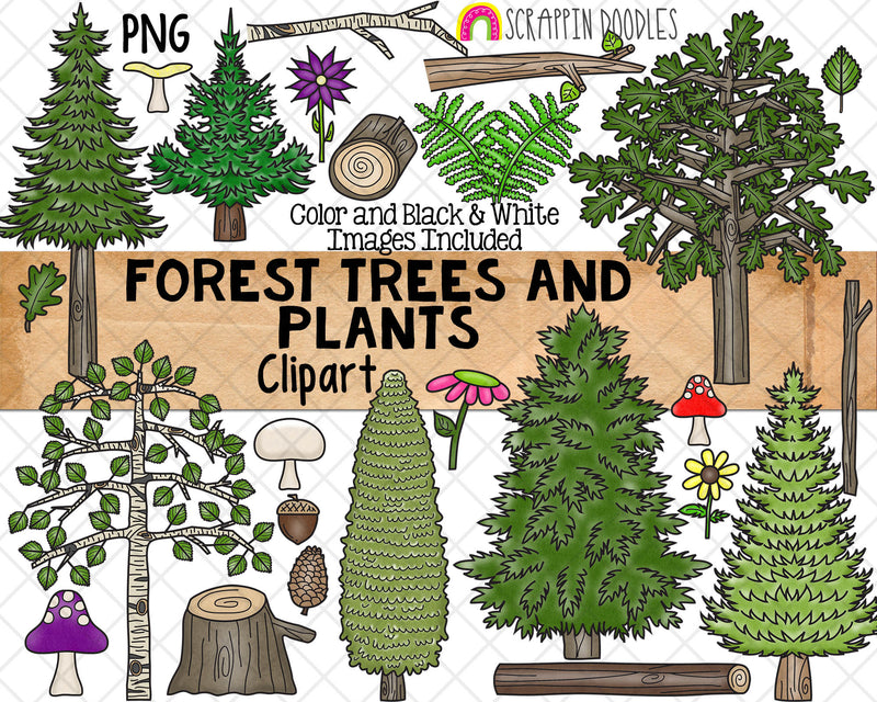 forest trees clip art