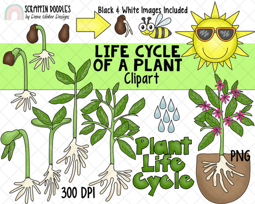 Pika Life Cycle Clipart Set Download - Clipart 4 School