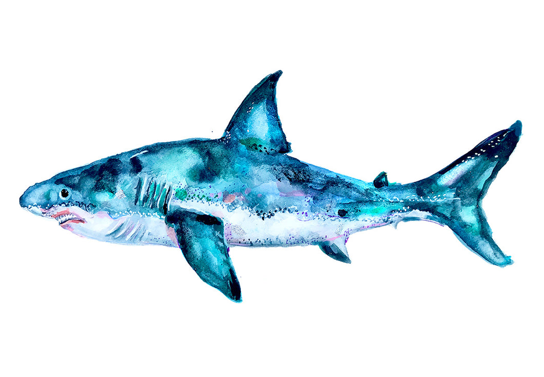 great white shark art