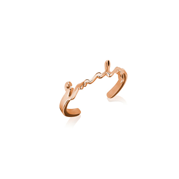 Abbott Lyon Metal Letter Key Ring - Gold