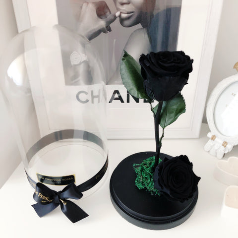 Rosas negras preservadas: todo lo que necesitas saber - Floristeria Lujo de  Caja de Rosas Madrid