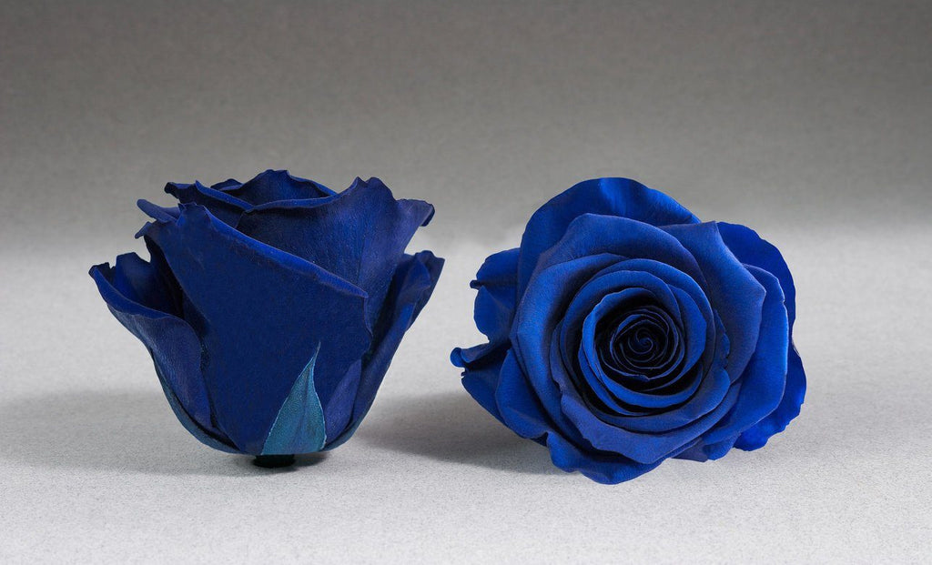 Caja Acrilica de Rosas Eternas Azules a domicilio Madrid. - Floristeria  Lujo de Caja de Rosas Madrid