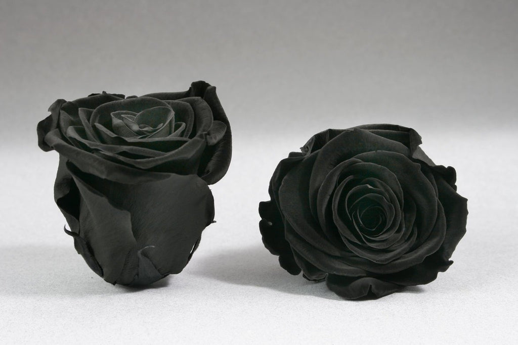 Comprar Rosas Negras frescas Naturales En Madrid - Floristeria Lujo de Caja  de Rosas Madrid