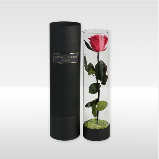 La rosa eterna y su significado | The Prestige Roses - Floristeria Lujo de  Caja de Rosas Madrid