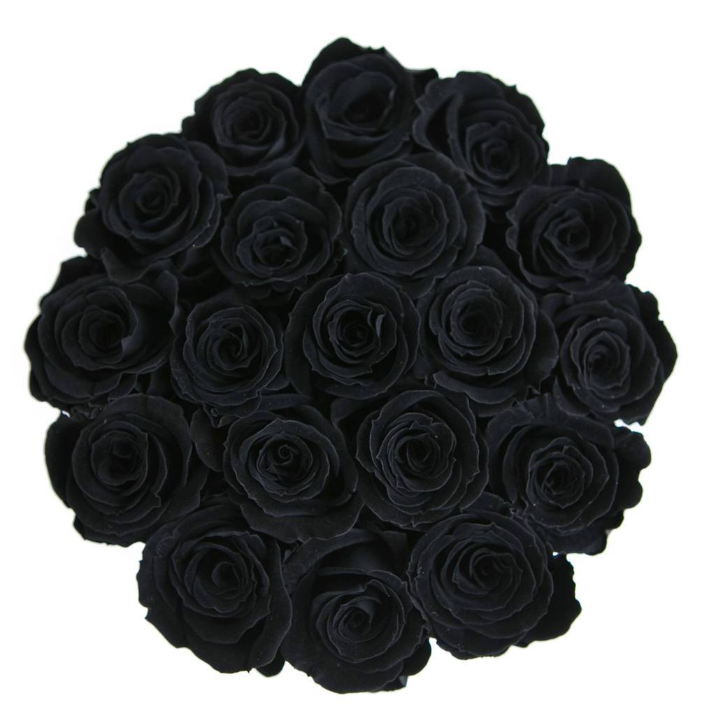 Calidad y confort Ramo de flores 12 rosas negras Ambos cómodos y elegantes  Obtén la mejor opción