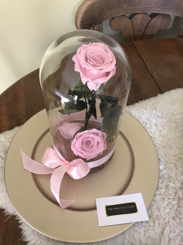 Comprar Rosa Bella y Bestia para San Valentín - The Prestige Roses -  Floristeria Lujo de Caja de Rosas Madrid