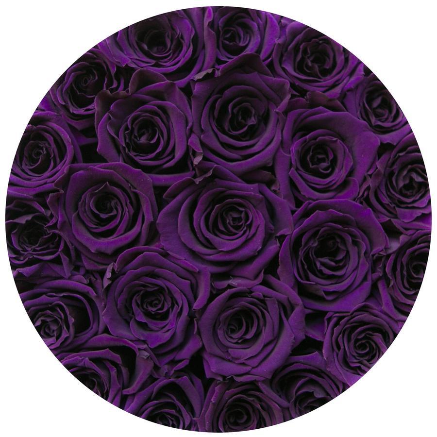 Comprar Rosas Moradas preservadas en madrid a domicilio - The Prestige Roses  - Floristeria Lujo de Caja de Rosas Madrid