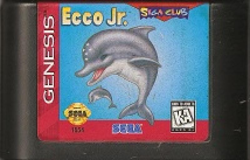 ecco jr