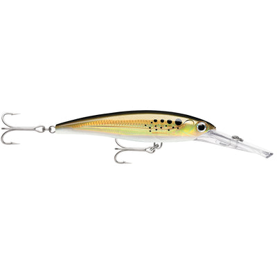 Rapala CountDown Magnum 22 Lure - 9 Inches –