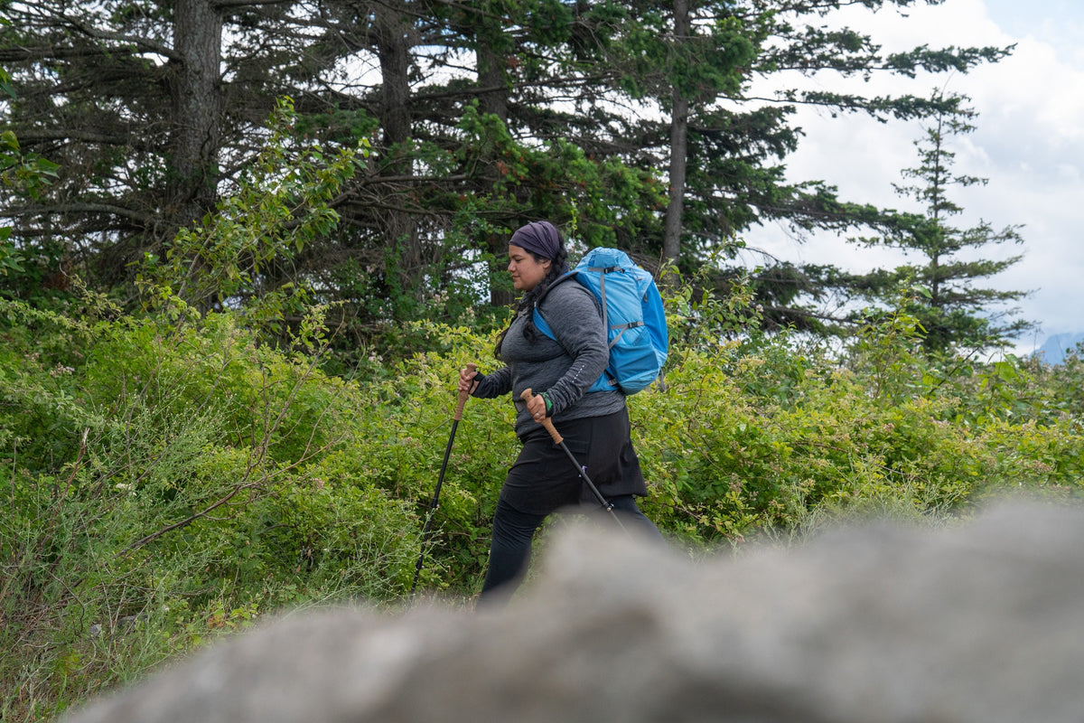 single trekking pole