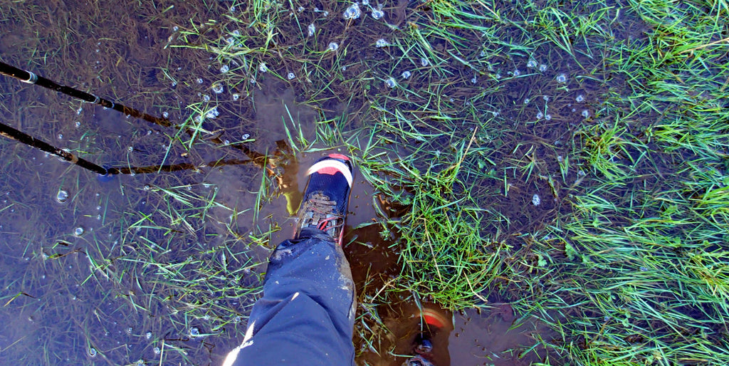 Trail shoes in water