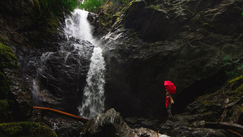 person with umbrella sanding near waterfall