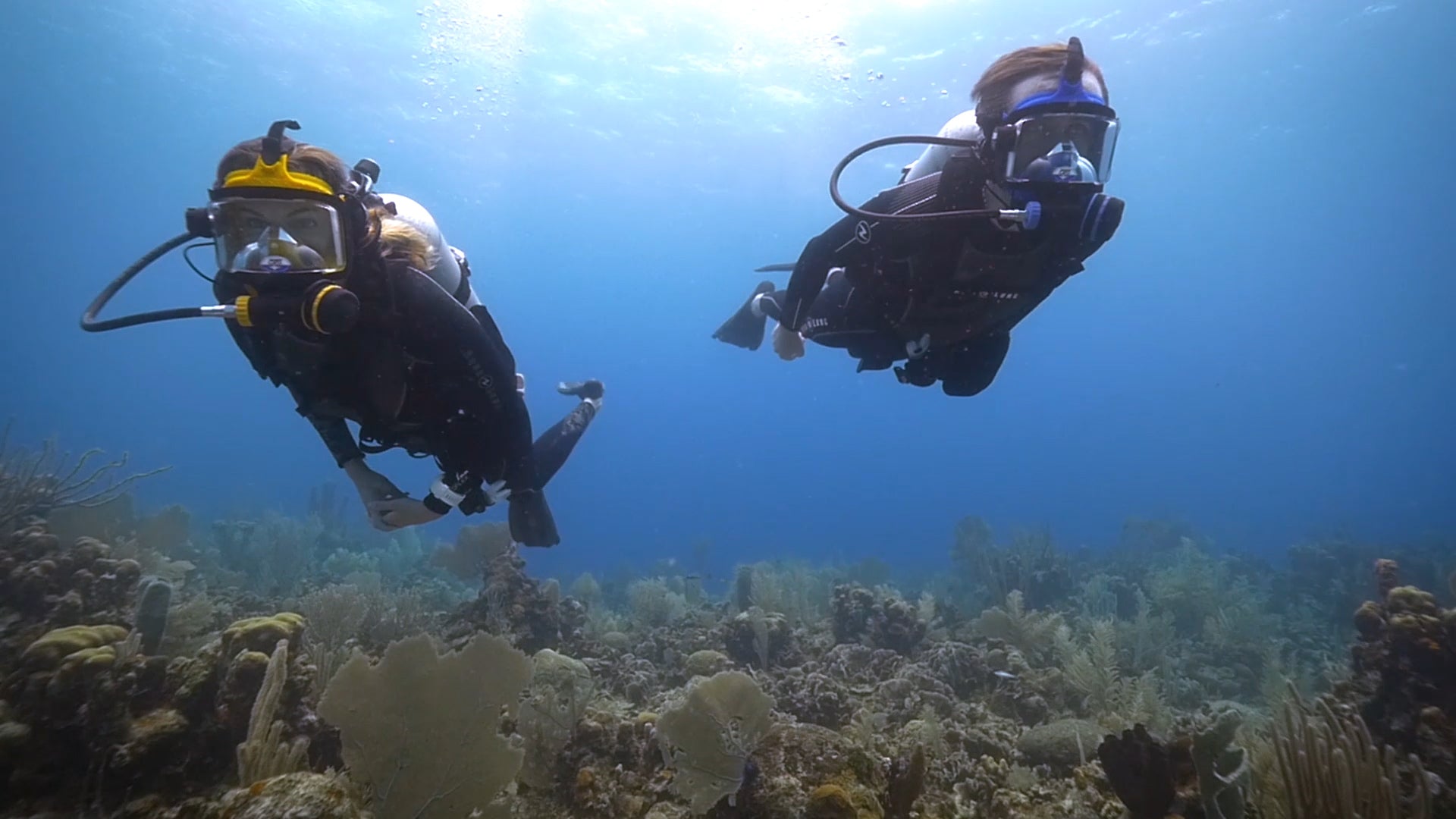 Philippe and Ashlan Cousteau diving