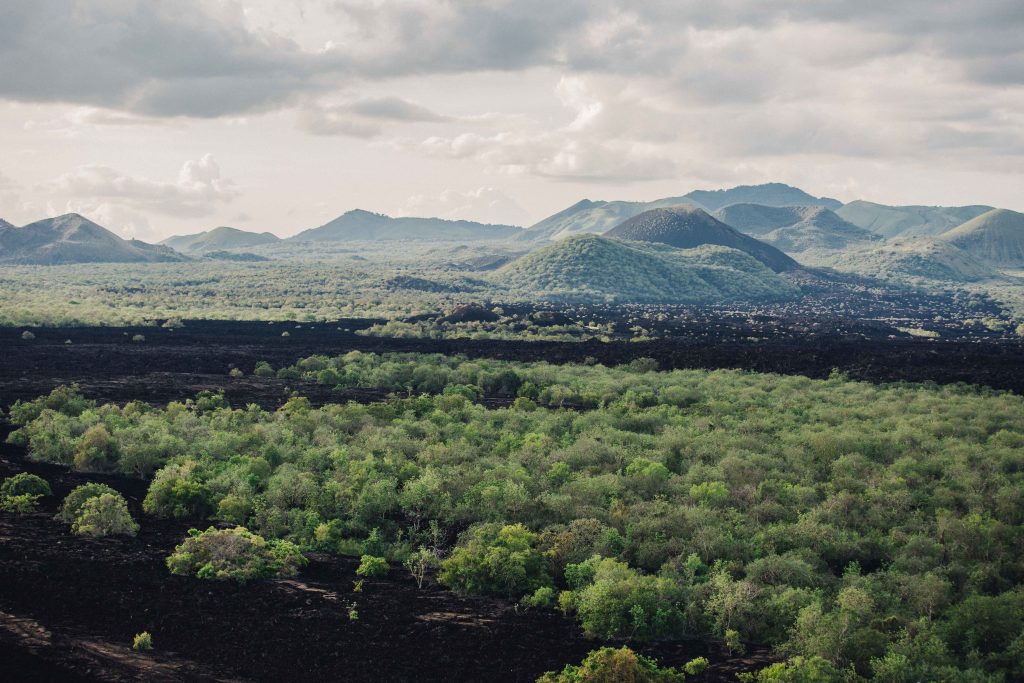 Fiducia nella fauna selvatica di Sheldrick