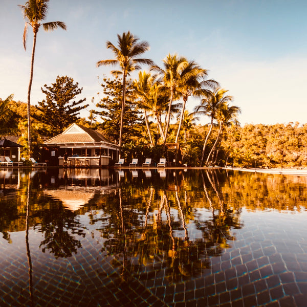 Orpheus Island Australia