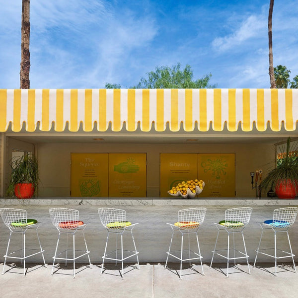 The Parker Hotel Palm Springs Lemonade