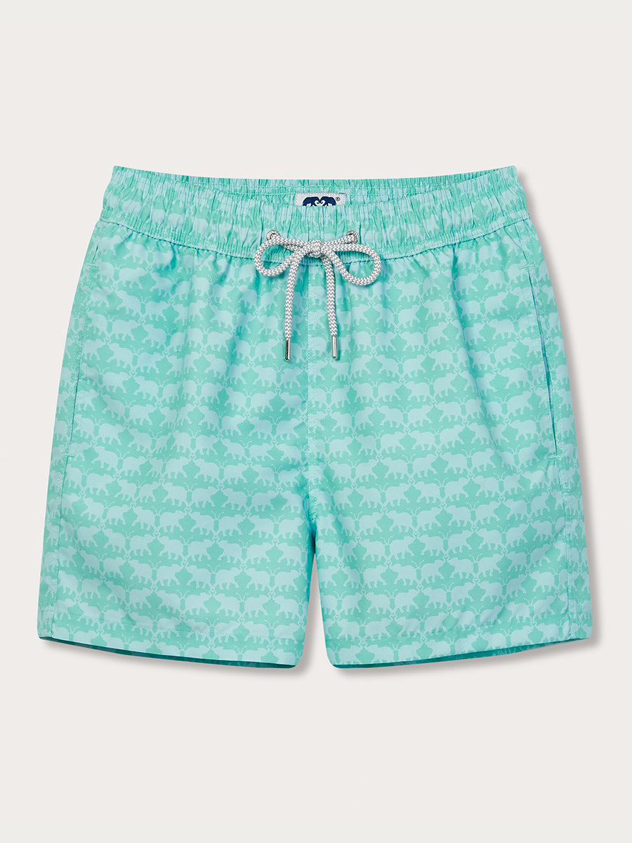 Men’s Elephant Dance Mint Staniel Swim Shorts