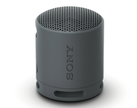 Sony SRS-XB100