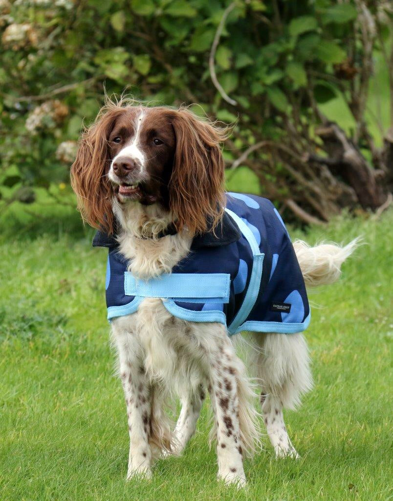 Blue Spotty Waterproof Dog Coat – Rachael Kelly Equestrian Accessories