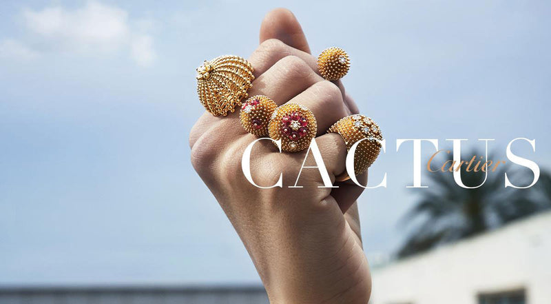 cartier collection cactus