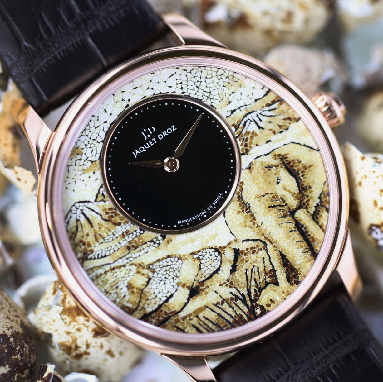 Jaquet Droz on BitDials