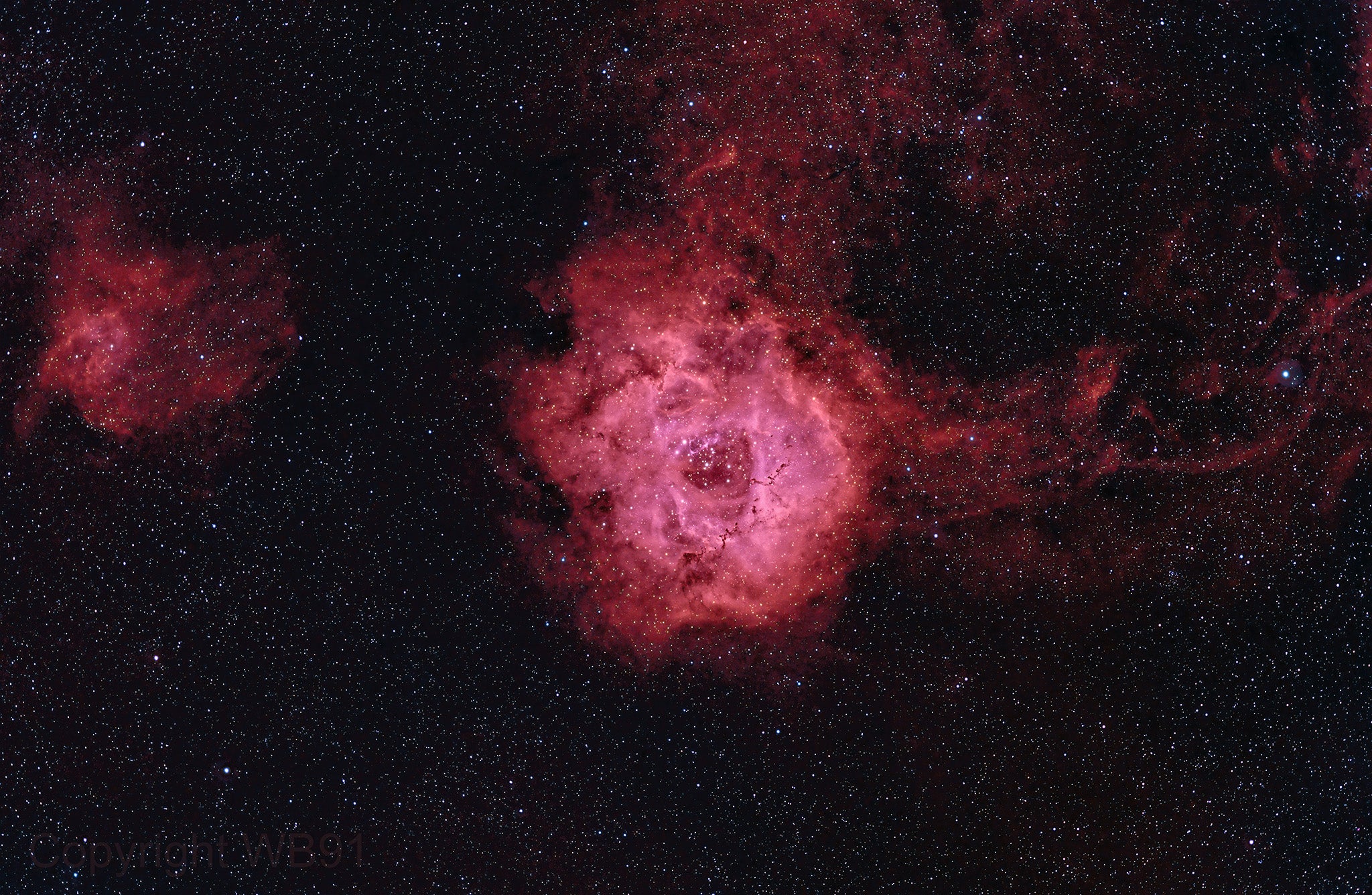 WB91 Rosette Nebula