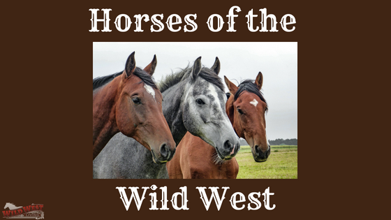 Horses Of The Wild West Wild West Living