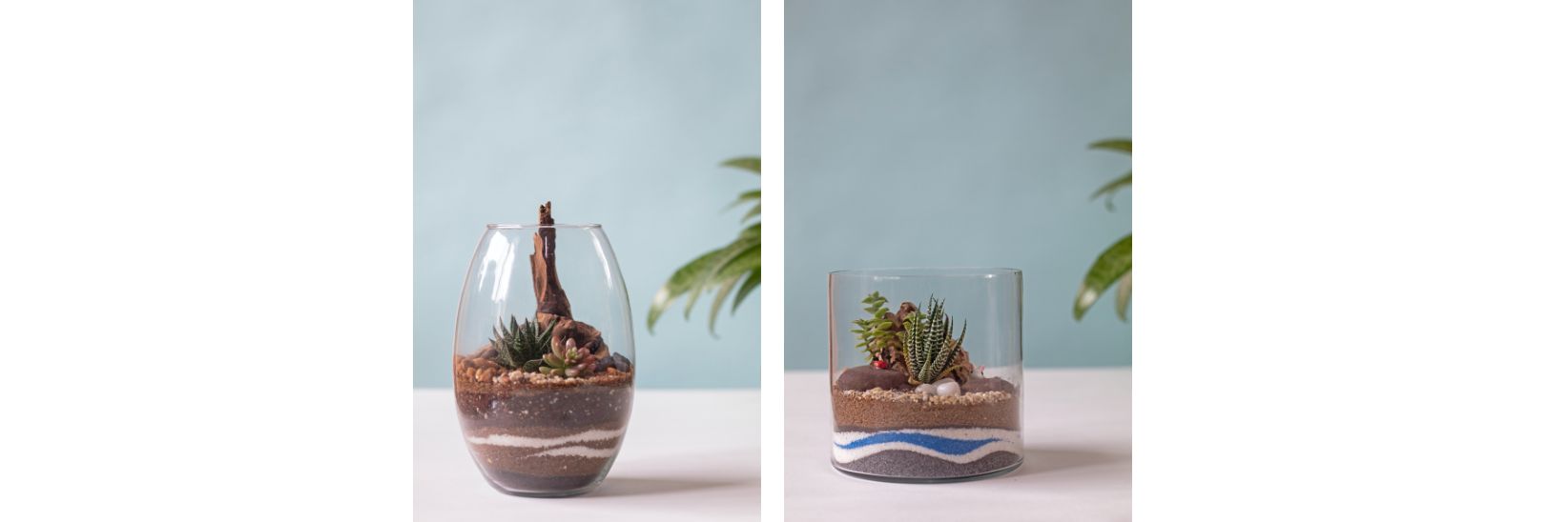 How to create a wall mounted terrarium