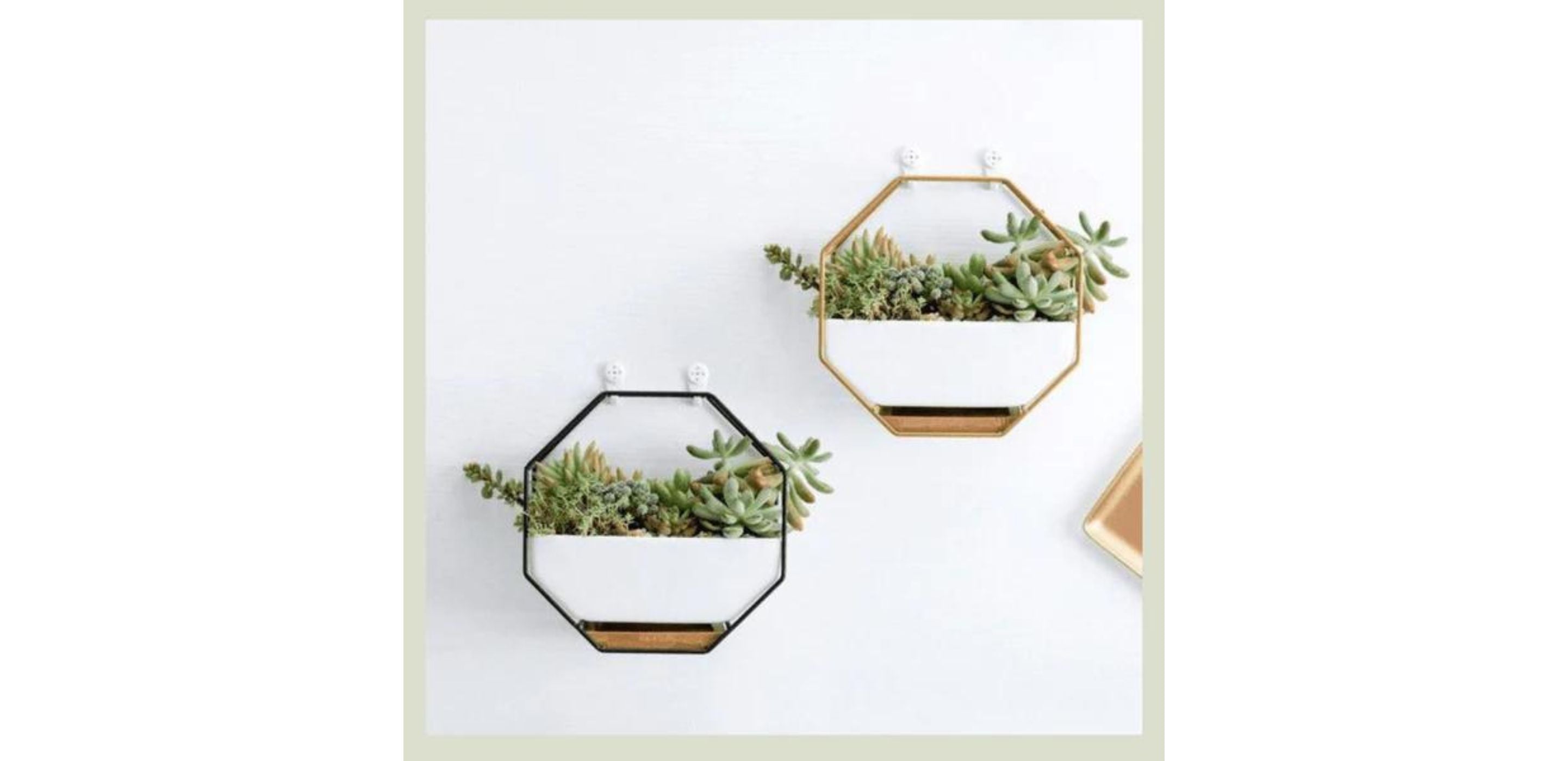 Designing a Wall terrarium