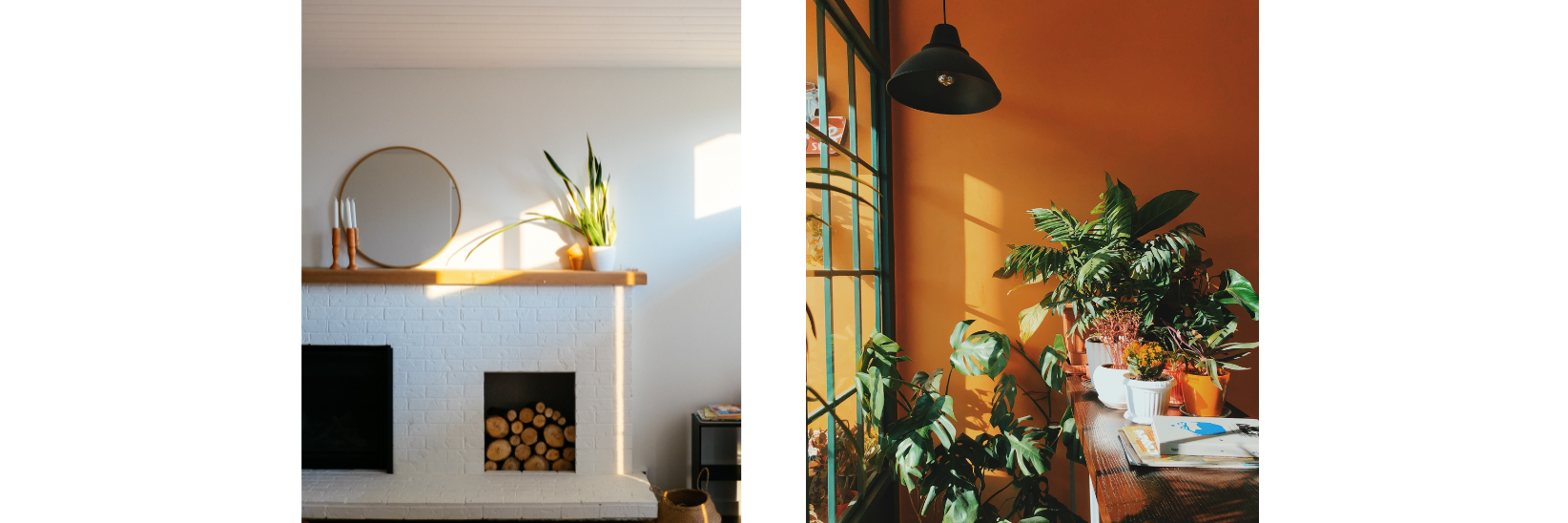 Designing with Houseplants: 6 Top Tips for Styling a Living Room