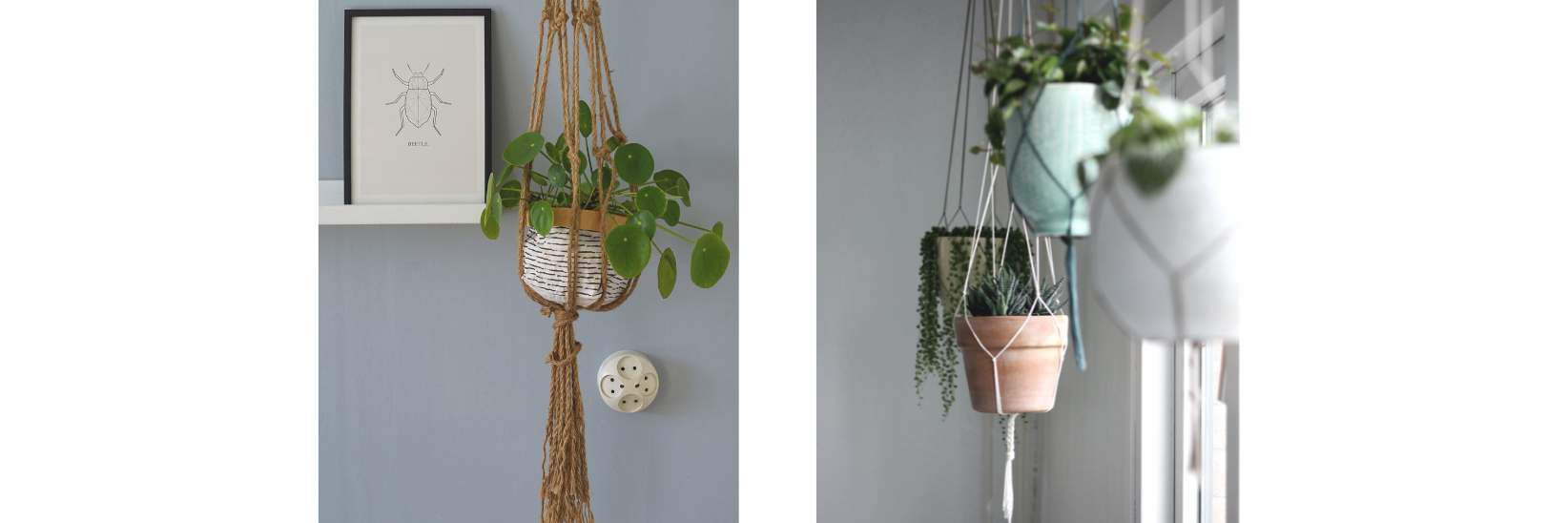 Designing with Houseplants: 6 Top Tips for Styling a Living Room