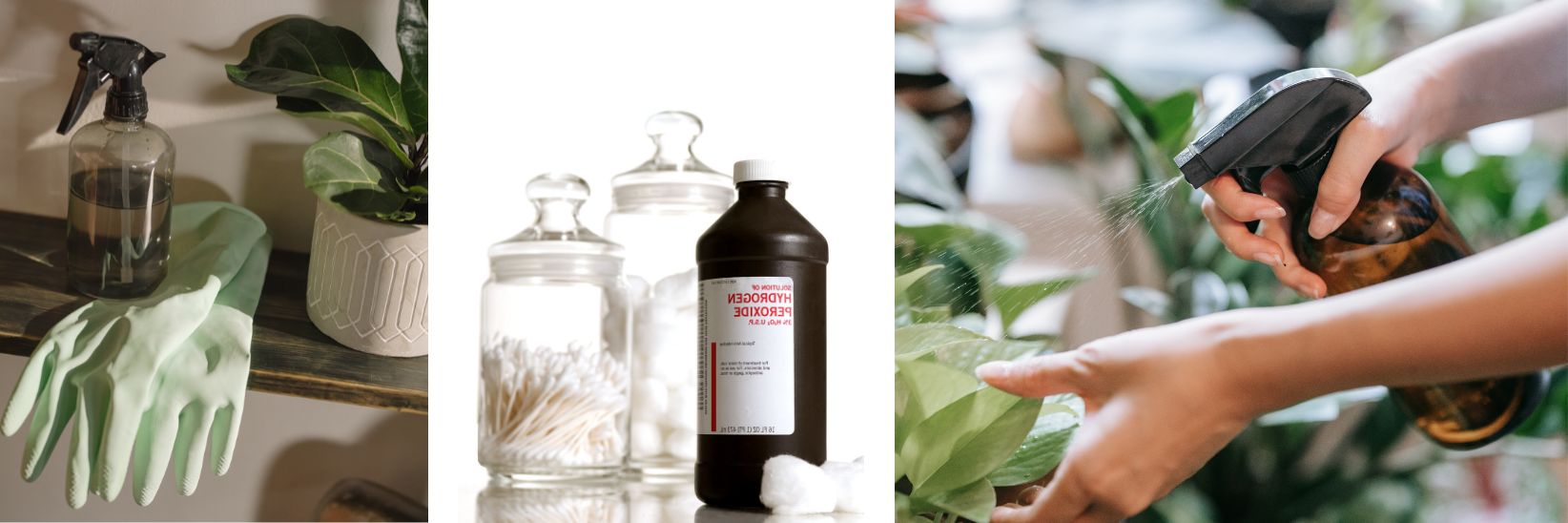 8 HOMEMADE PESTICIDES SPRAYS FOR INDOOR PLANTS