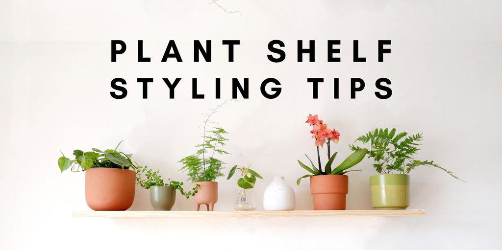 Plant shelf styling tips