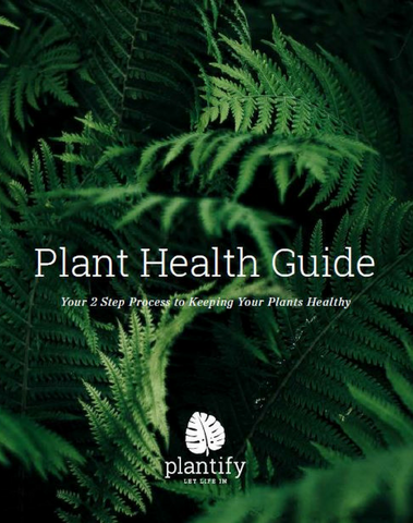 Plant Health Guide