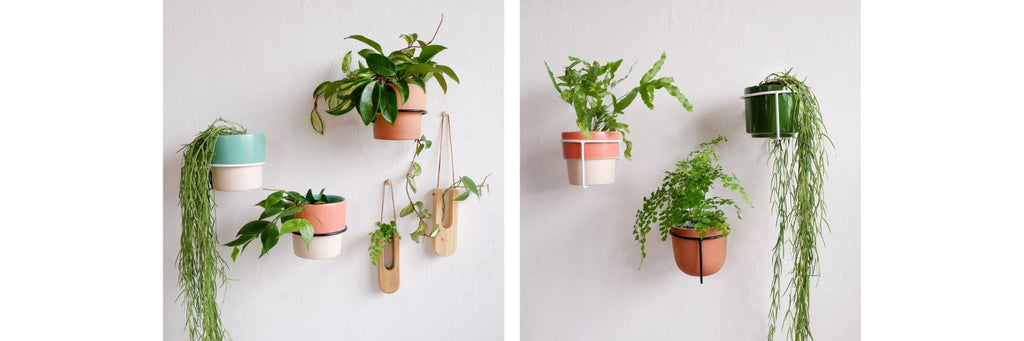 Metal wall mounted pot plant holders