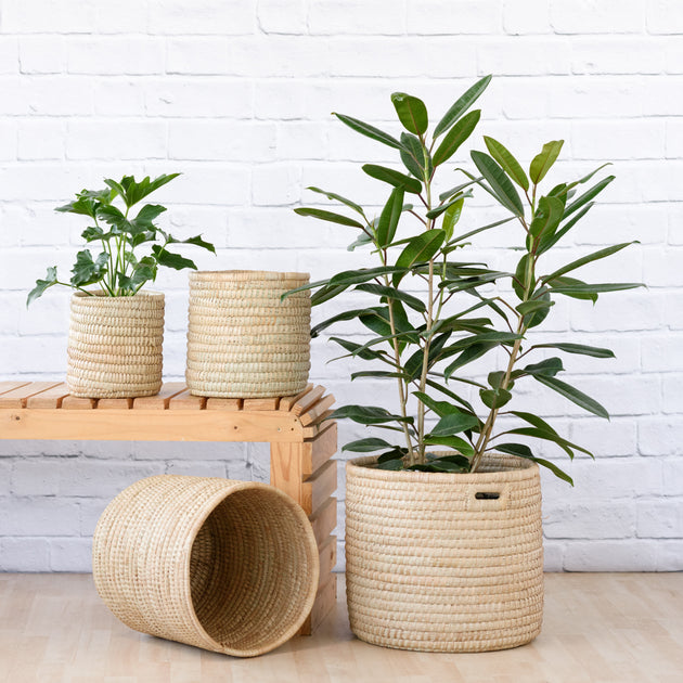 Pots and Baskets - Dress up your Houseplants in Style!