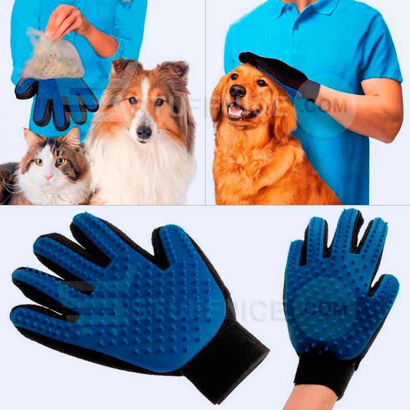 glove brush dogs