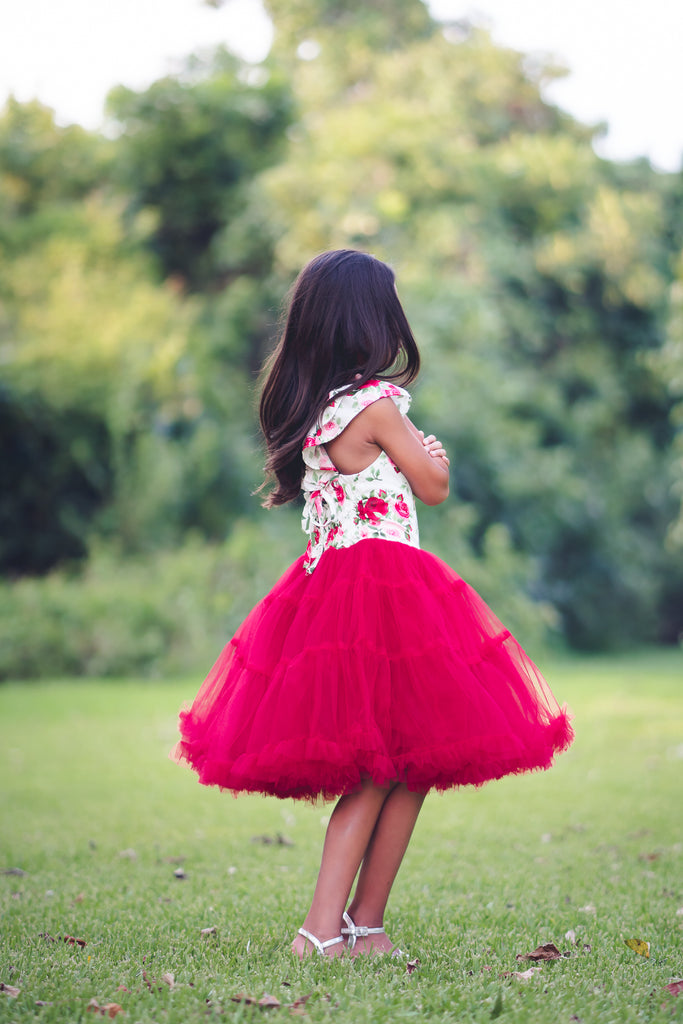 vintage floral red rustic Christmas holiday tutu twirl dress