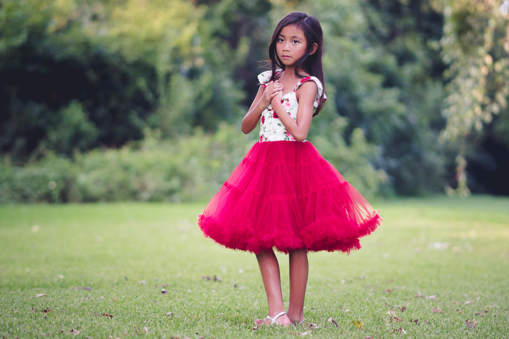 red floral rose Christmas tulle tutu twirl dress toddler girl tween